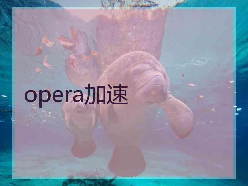 opera加速