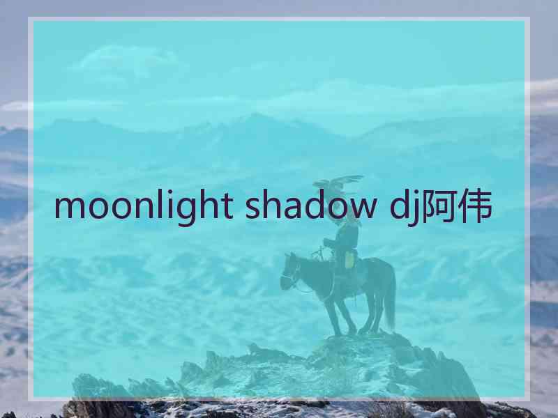 moonlight shadow dj阿伟