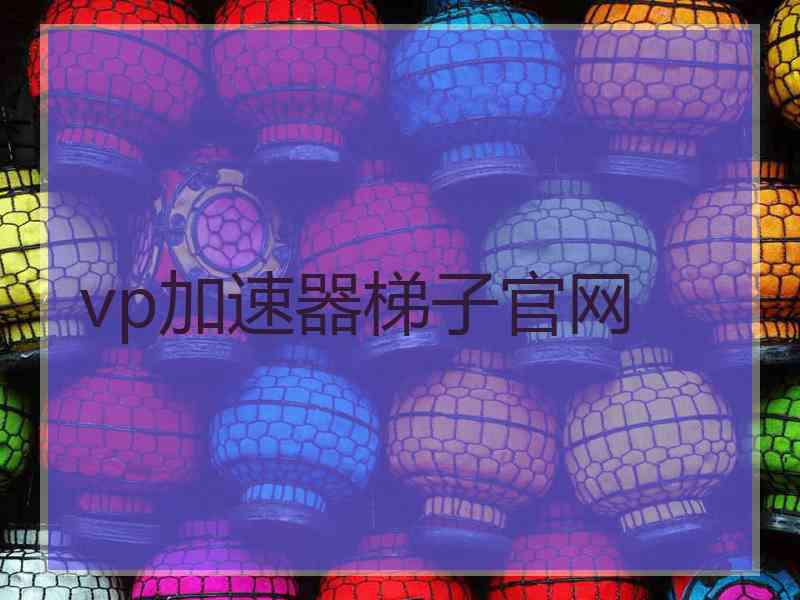 vp加速器梯子官网