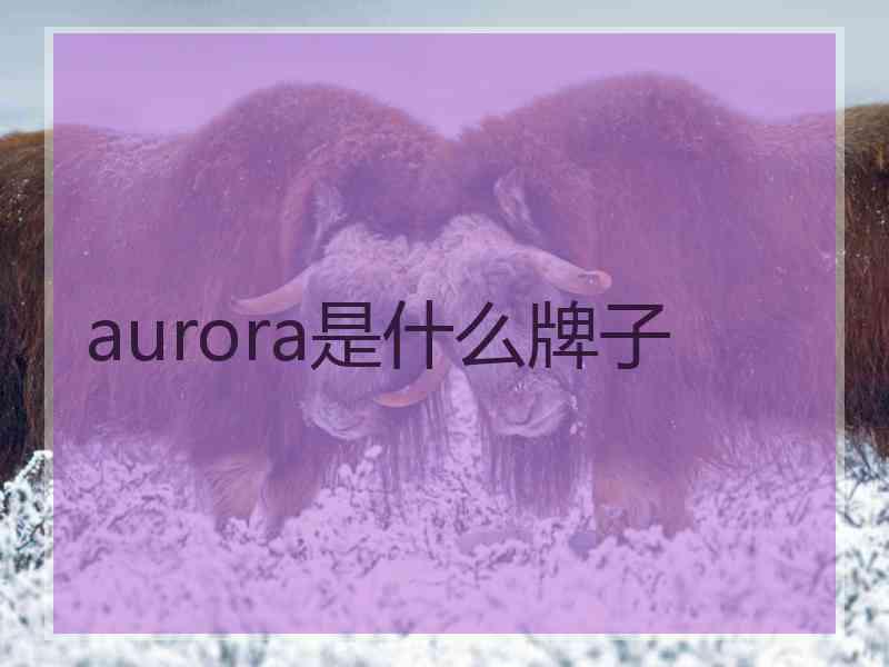 aurora是什么牌子