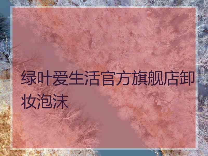 绿叶爱生活官方旗舰店卸妆泡沫