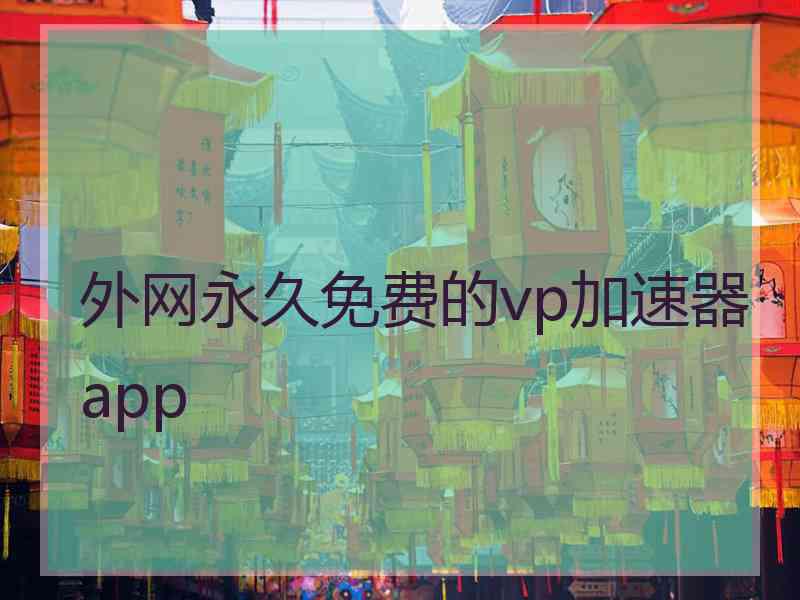 外网永久免费的vp加速器app