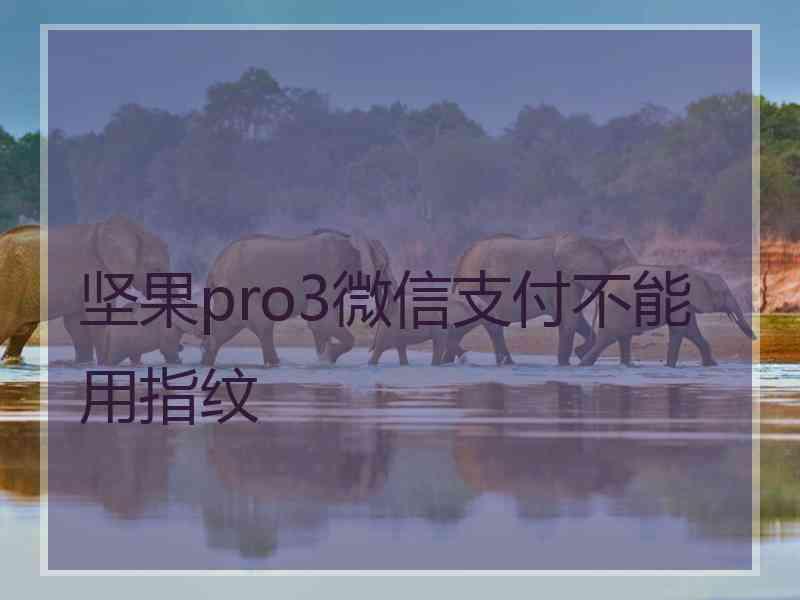 坚果pro3微信支付不能用指纹