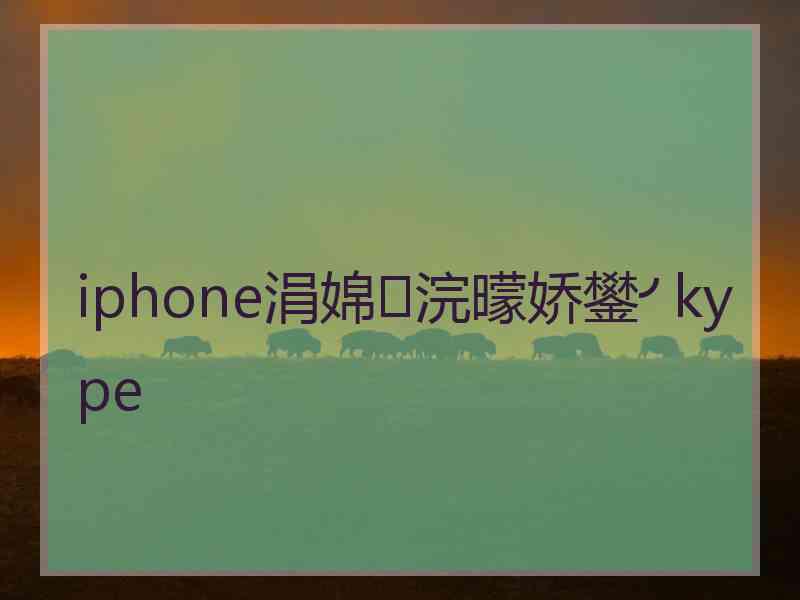 iphone涓婂浣曚娇鐢╯kype