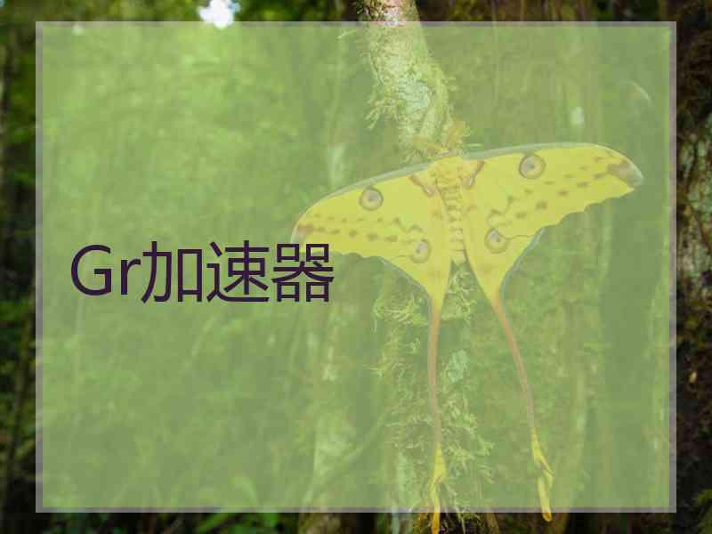 Gr加速器