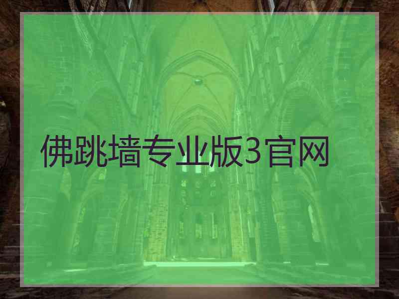 佛跳墙专业版3官网