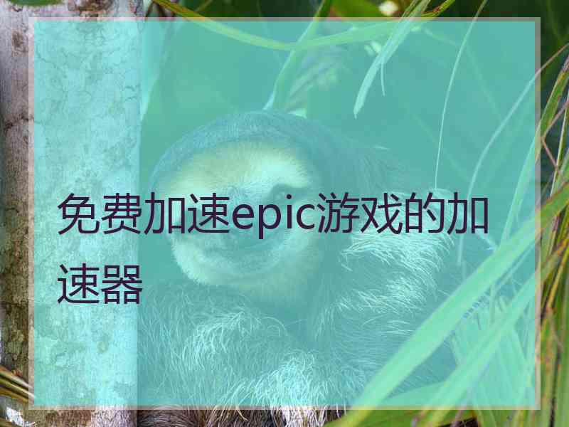 免费加速epic游戏的加速器