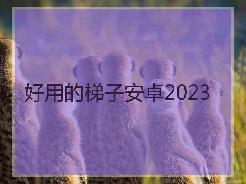 好用的梯子安卓2023