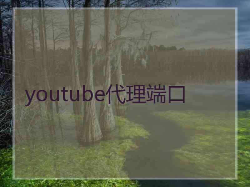 youtube代理端口