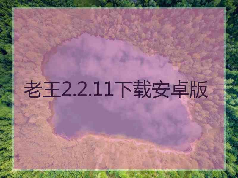 老王2.2.11下载安卓版