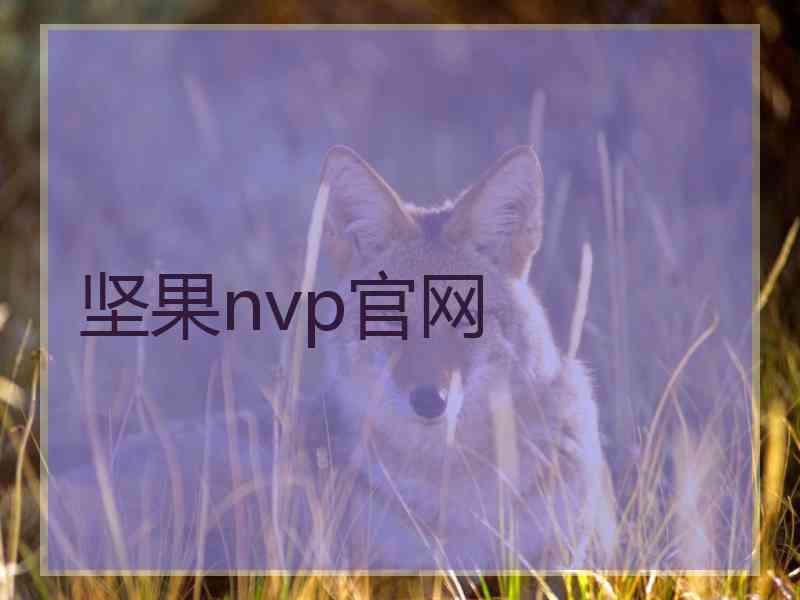 坚果nvp官网