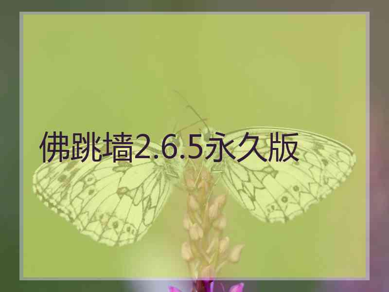 佛跳墙2.6.5永久版