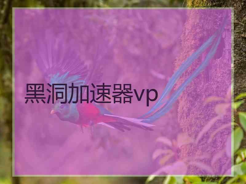 黑洞加速器vp