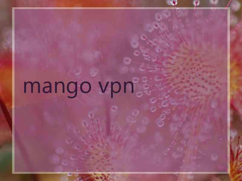 mango vpn