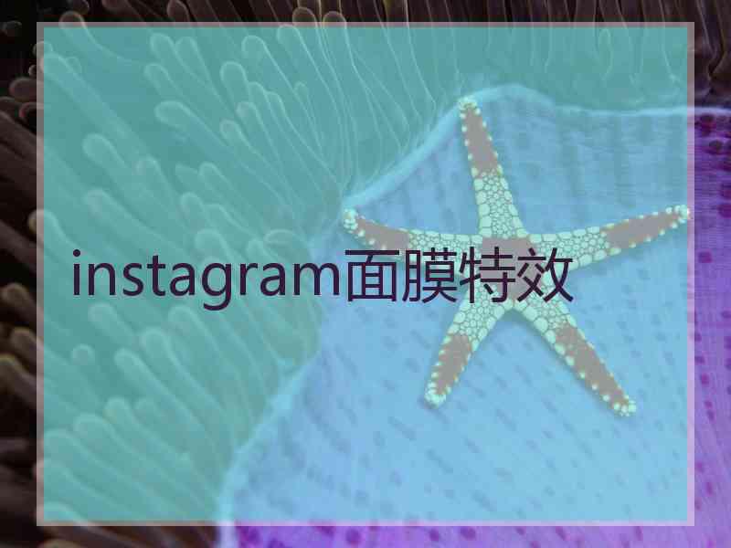 instagram面膜特效