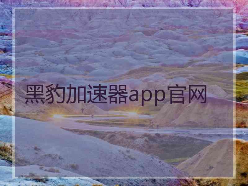 黑豹加速器app官网