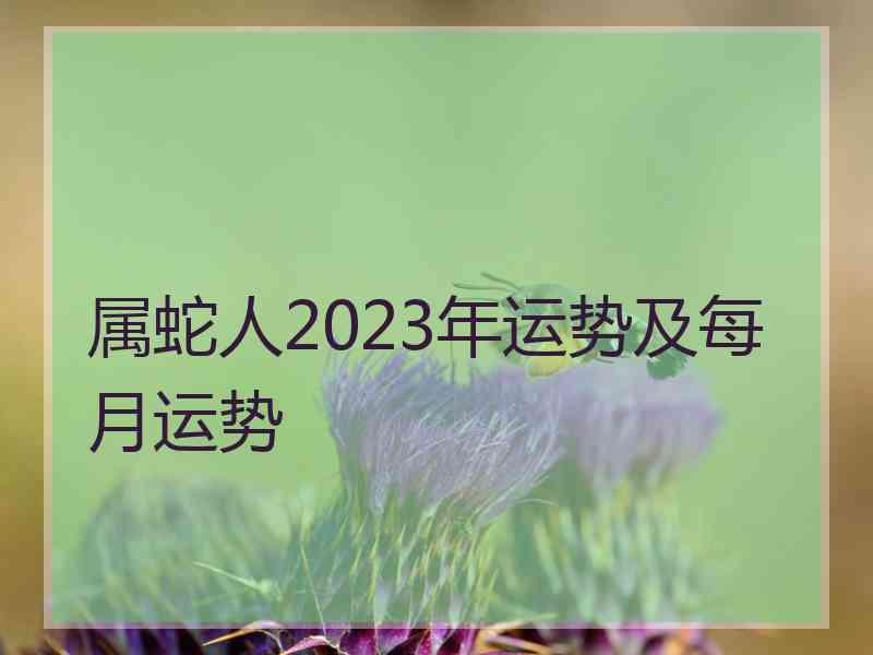 属蛇人2023年运势及每月运势