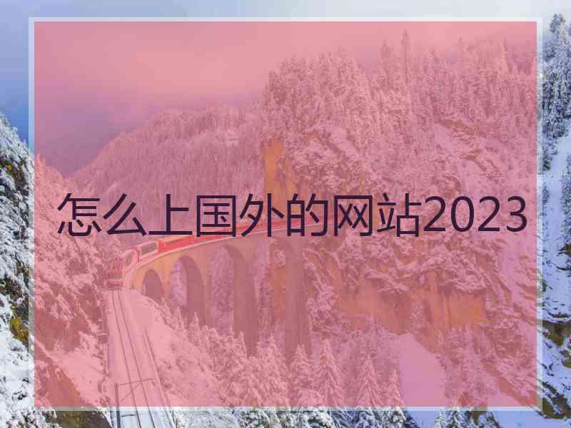 怎么上国外的网站2023