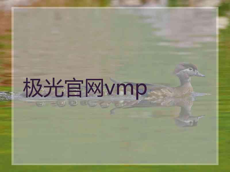 极光官网vmp