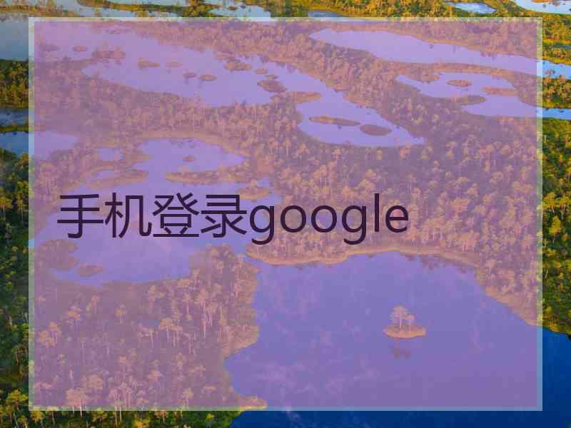 手机登录google