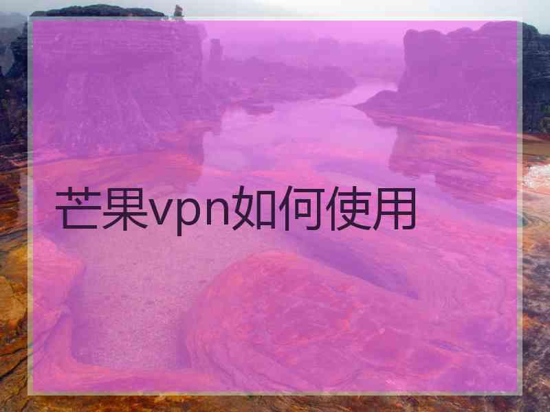 芒果vpn如何使用