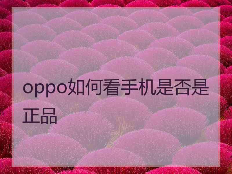 oppo如何看手机是否是正品