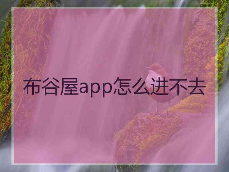 布谷屋app怎么进不去