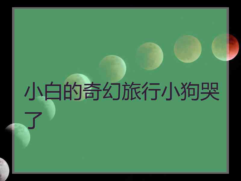 小白的奇幻旅行小狗哭了