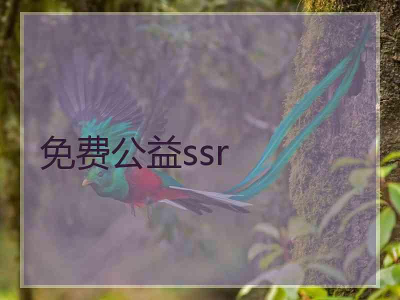 免费公益ssr