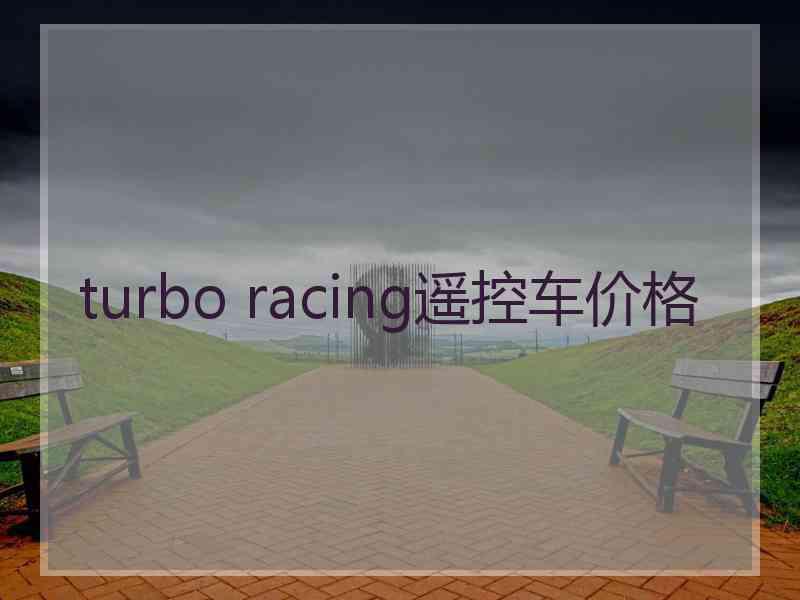 turbo racing遥控车价格