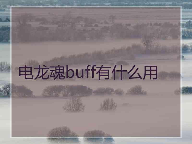 电龙魂buff有什么用