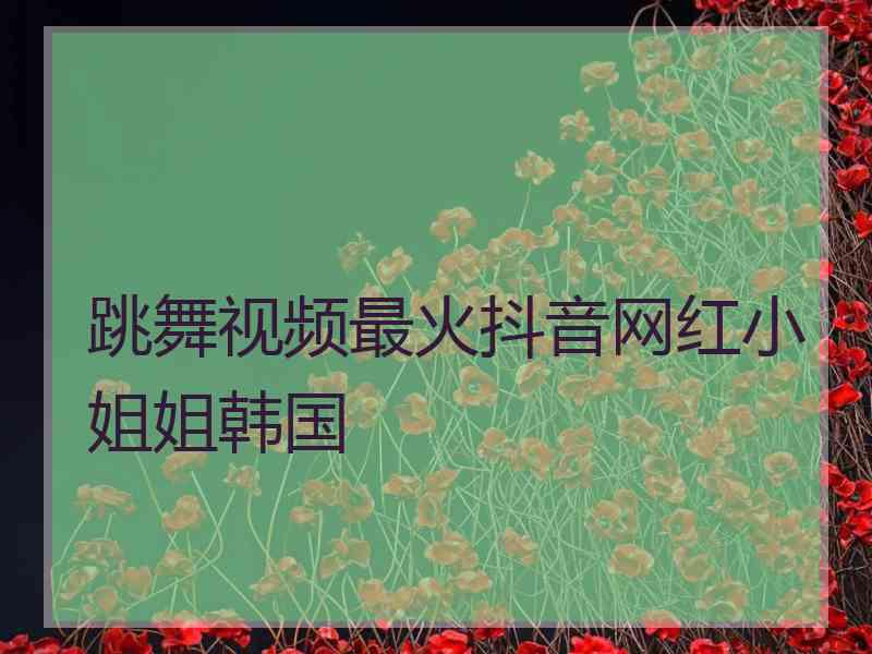 跳舞视频最火抖音网红小姐姐韩国