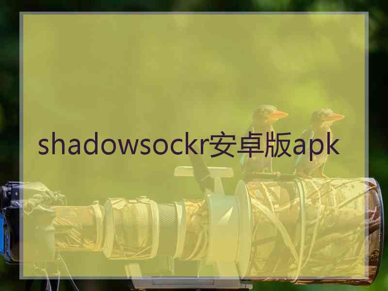 shadowsockr安卓版apk