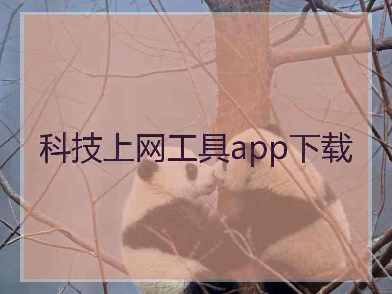 科技上网工具app下载