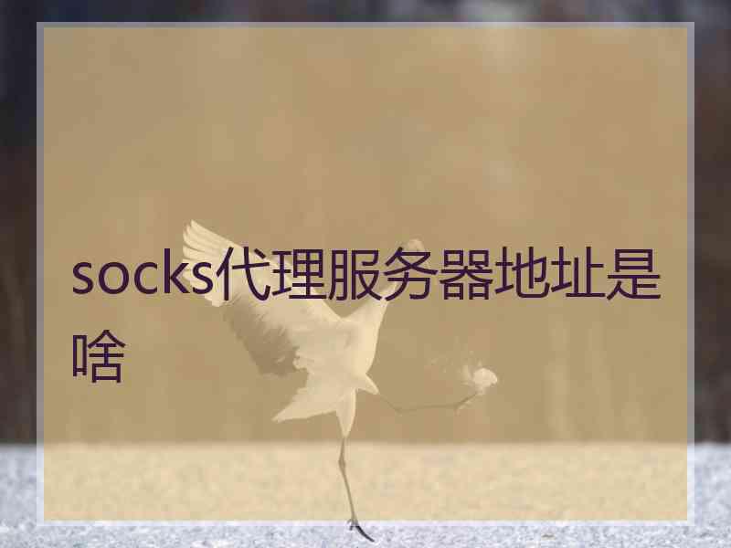 socks代理服务器地址是啥