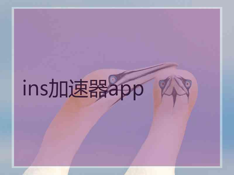 ins加速器app