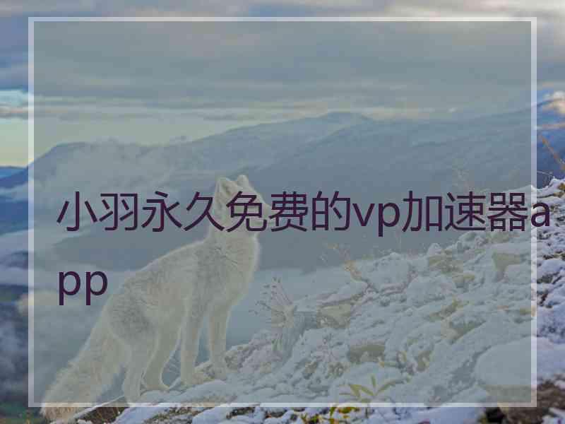 小羽永久免费的vp加速器app