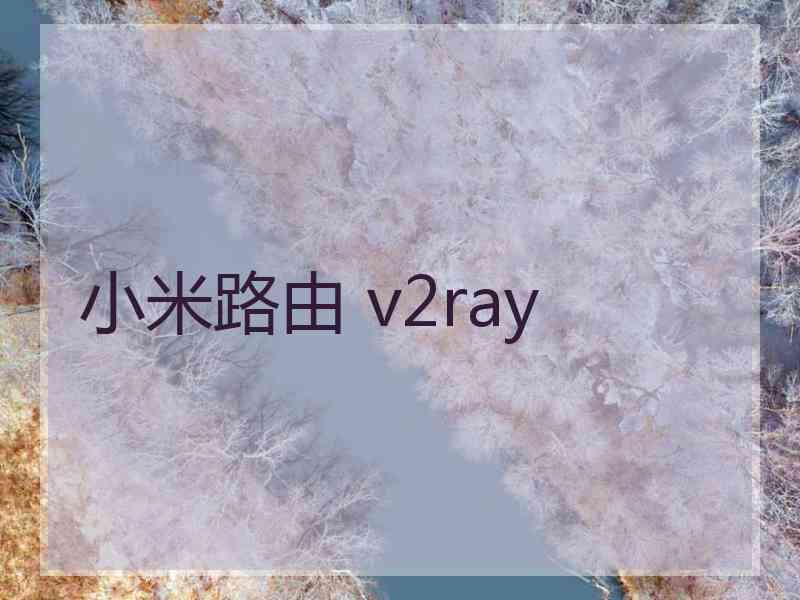 小米路由 v2ray