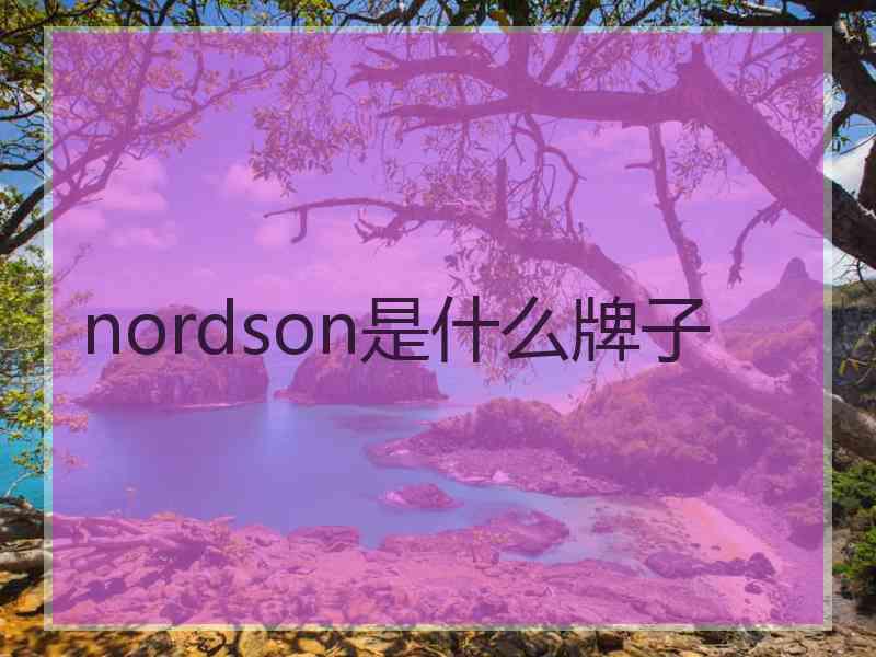 nordson是什么牌子