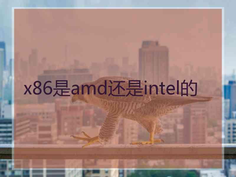 x86是amd还是intel的