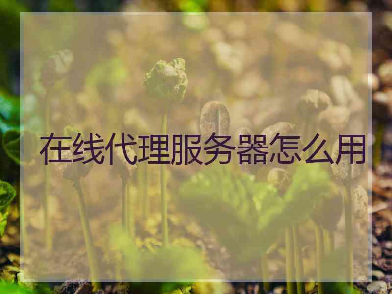 在线代理服务器怎么用