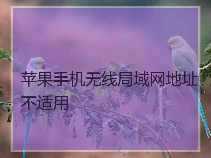 苹果手机无线局域网地址不适用