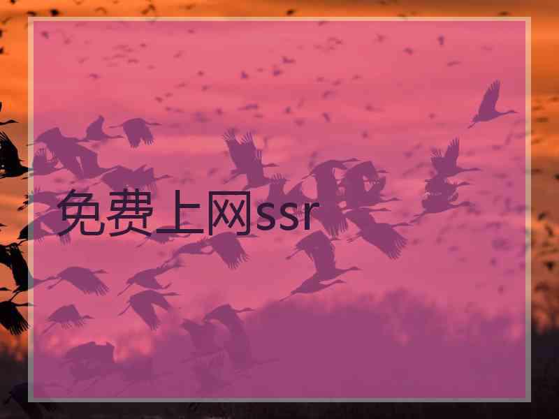 免费上网ssr