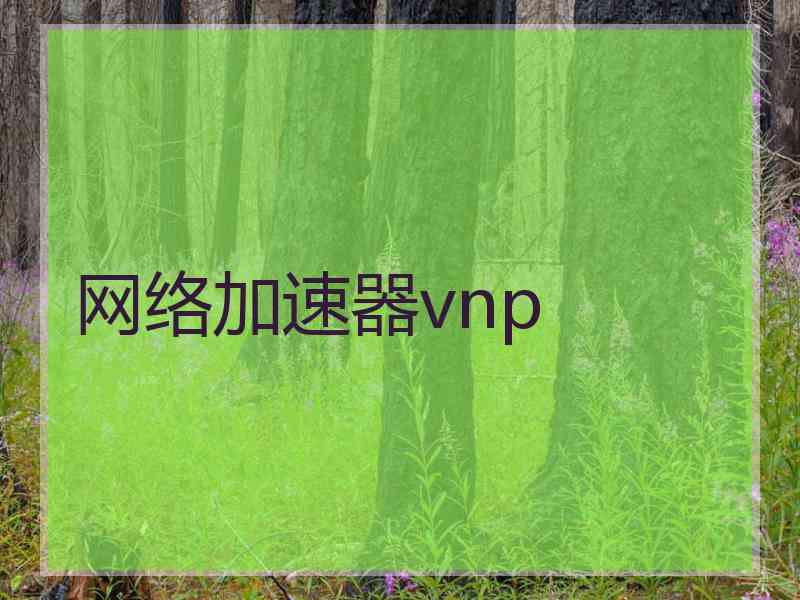 网络加速器vnp