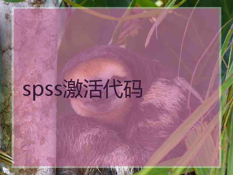 spss激活代码