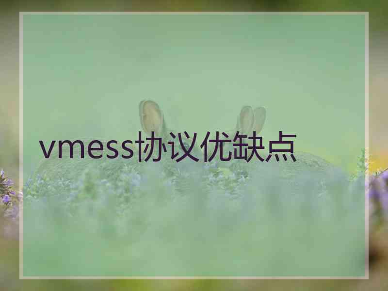 vmess协议优缺点