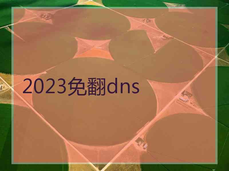 2023免翻dns