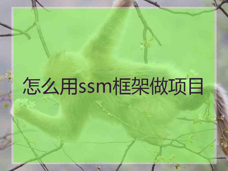 怎么用ssm框架做项目