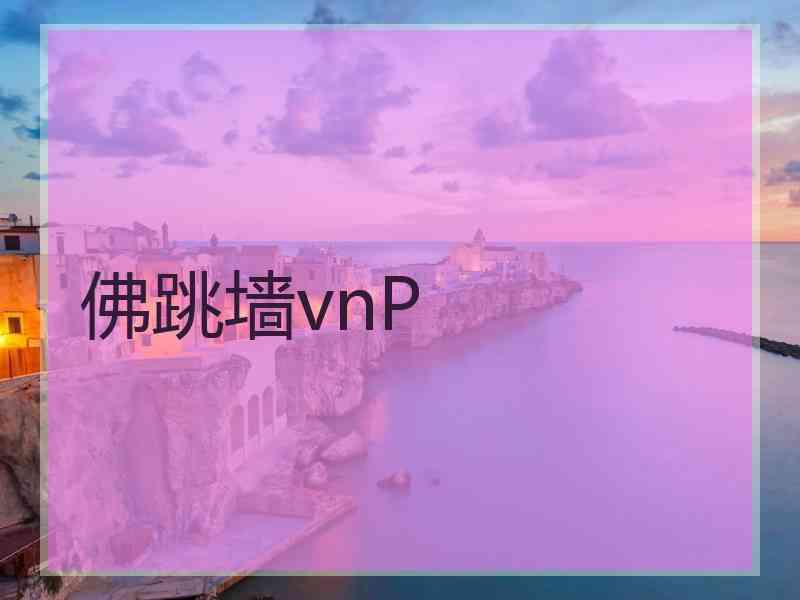 佛跳墙vnP