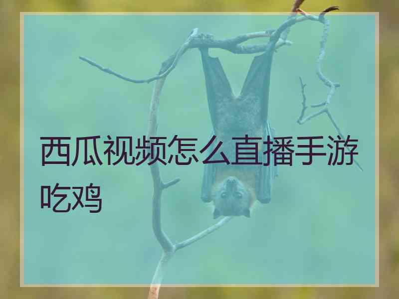 西瓜视频怎么直播手游吃鸡